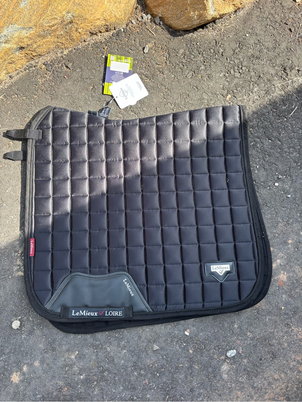 LeMieux Loire dressage Saddle Pad in Black